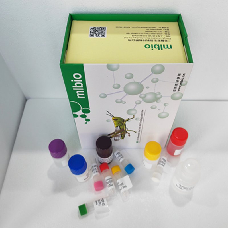 生物技术研发服务：行业的未来之光