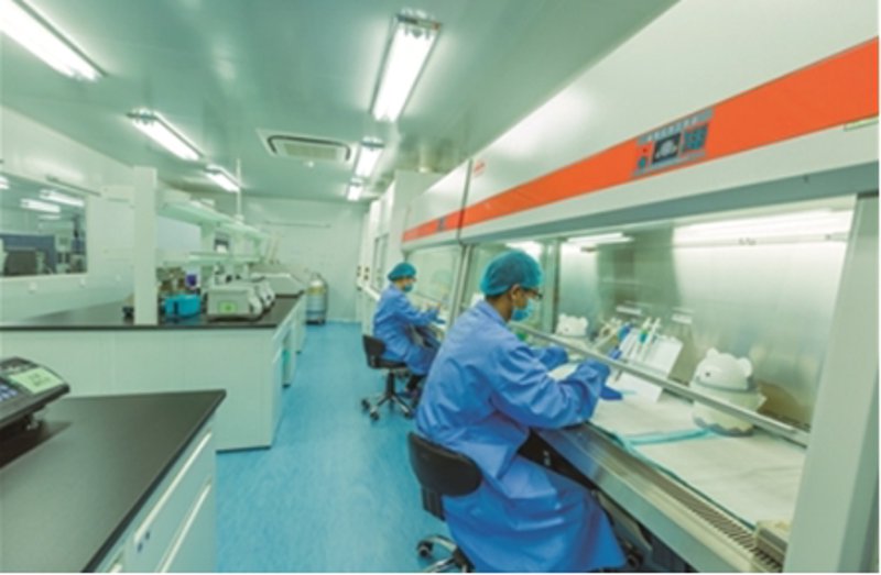 细胞培养实验：探索生命科学前沿
