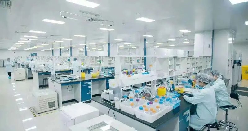 重组蛋白表达选购指南:打造高效生产流程