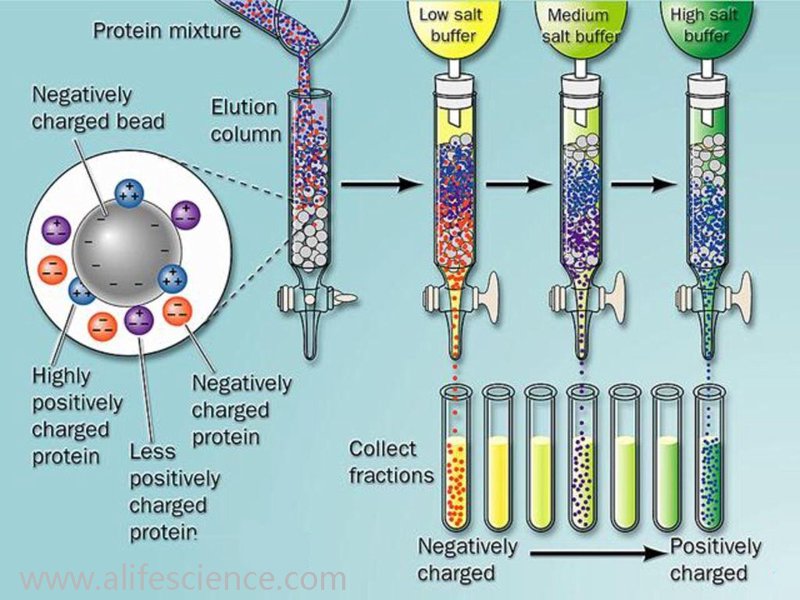 生物技术研发服务:探索生命科学的未来